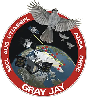 gray jay patch